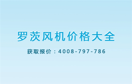 羅茨風(fēng)機(jī)價(jià)格大全.jpg