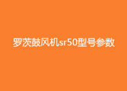 羅茨鼓風(fēng)機sr50型號參數(shù).jpg