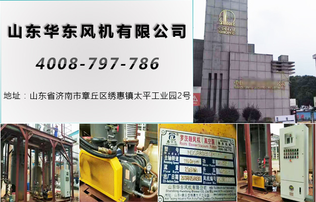 三葉羅茨風(fēng)機