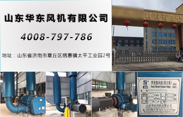 羅茨風(fēng)機