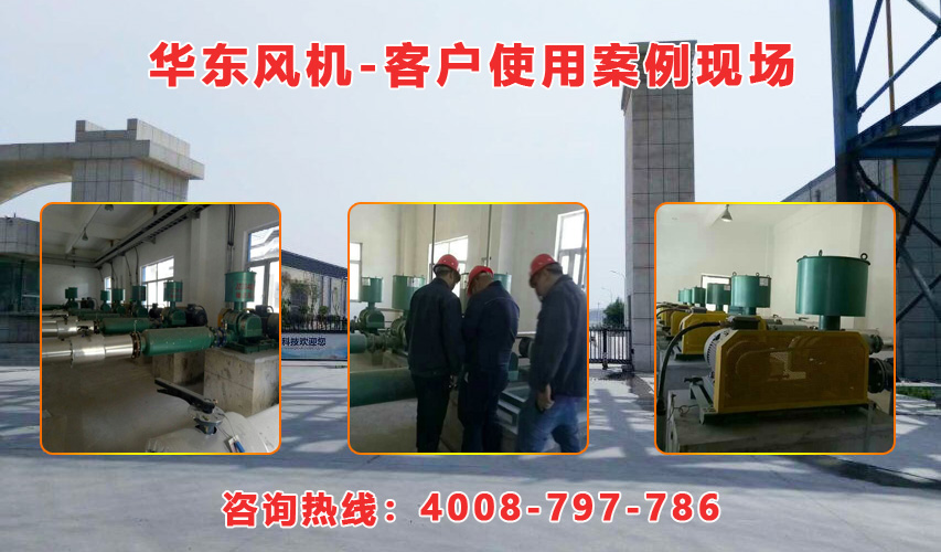 華東內(nèi)蒙古羅茨風(fēng)機(jī)案例-內(nèi)蒙古**生物環(huán)?？萍加邢挢?zé)任公司